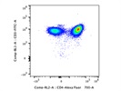 Stains hCD4+ Cells Very Well