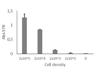 Viability Quantification by MTT
