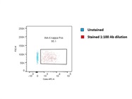Mouse anti-Human Kappa Light Chain Secondary Antibody - APC - FACS stain