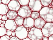 Extracellular Matrix: The Secret Sauce of 3D Cell Culture