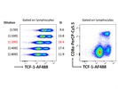 Cell Signaling Technology TCF1/TCF7 (C63D9) Rabbit mAb Review