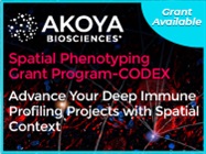 Spatial Phenotyping Grant Program – CODEX
