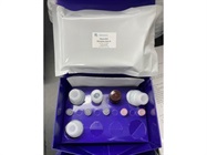 MIG ELISA for Cell Culture Supernatants and Serum