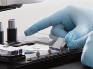 Improved Tissue Dissection for NGS and PCR with the AVENIO Millisect System