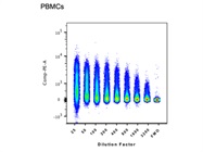 PE Anti-human CD199 (CCR9) Antibody for Flow Cytometry