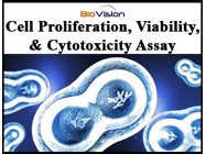 Cell Proliferation, Viability & Cytotoxicity Assay Kits