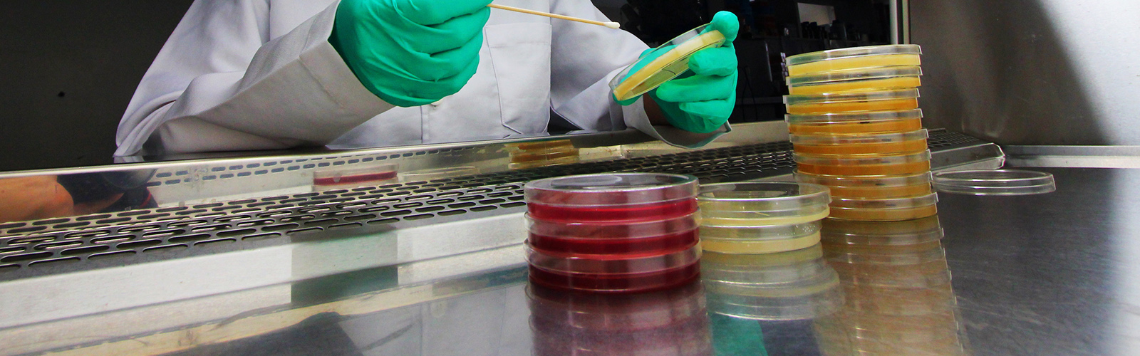  Biosafety Cabinet Ergonomic Tips