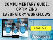 Guide to Optimizing Laboratory Workflows
