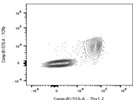 Great Antibody for Thy1.2