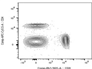 Highly Recommended Antibody for CD8 Detection
