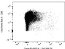 Very Good Staining for EpCAM+ Cells