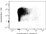 Very Good Staining to Detect Biotinylated