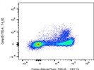 Great Clone for Staining CD11b