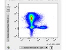 Robust Antibody to Detect CD11b Expression