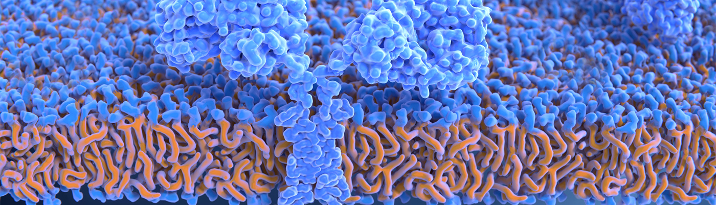  Unleashing Immunity Against Cancer