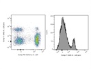 Good Anti-human CD8