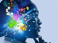 Explore what’s possible with innovative research tools