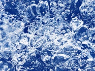 What to Look for in Cold Storage Solutions
