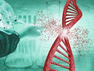Optimizing an Arrayed CRISPR Screen: A Guide to Success Using sgRNA Libraries