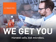 A Guide to Understanding and Managing Cell Culture Contamination