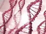 Importance of Methylation Analysis and Application Areas