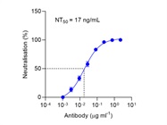 Highly Neutralizing Monoclonal Antibody