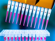 The Best Pipettes According to Our Product Reviewers