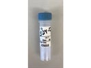Very Good Staining for GFP Antibody