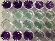 Detecting Host Cell Proteins in Biotherapeutics
