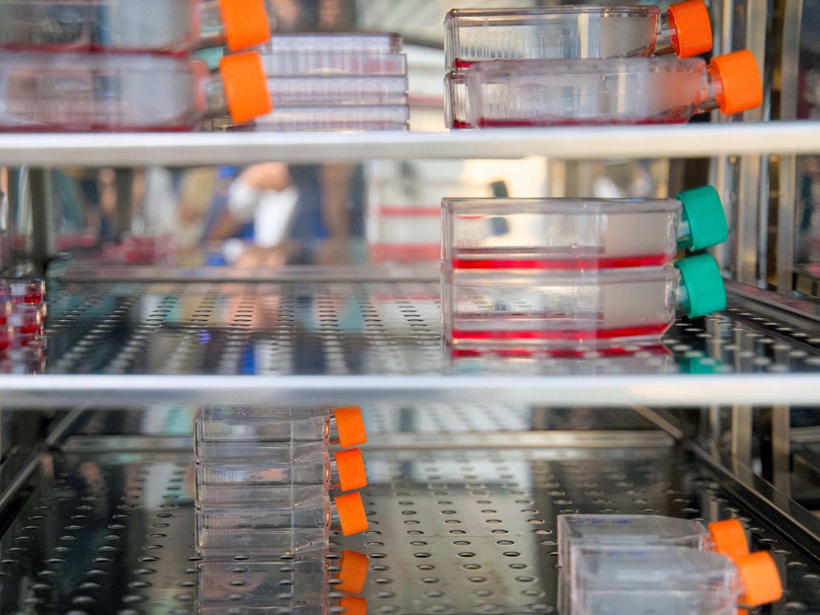 Guide to Proper CO2 Incubator Use and Preventive Maintenance