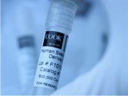 Need Primary Cells for your Research?  Highly Characterized Human Skeletal Muscle Cells  Complementary Media with skMDC Purchase