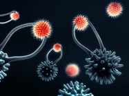 T cell Isolation, Engineering, Activation, and Expansion