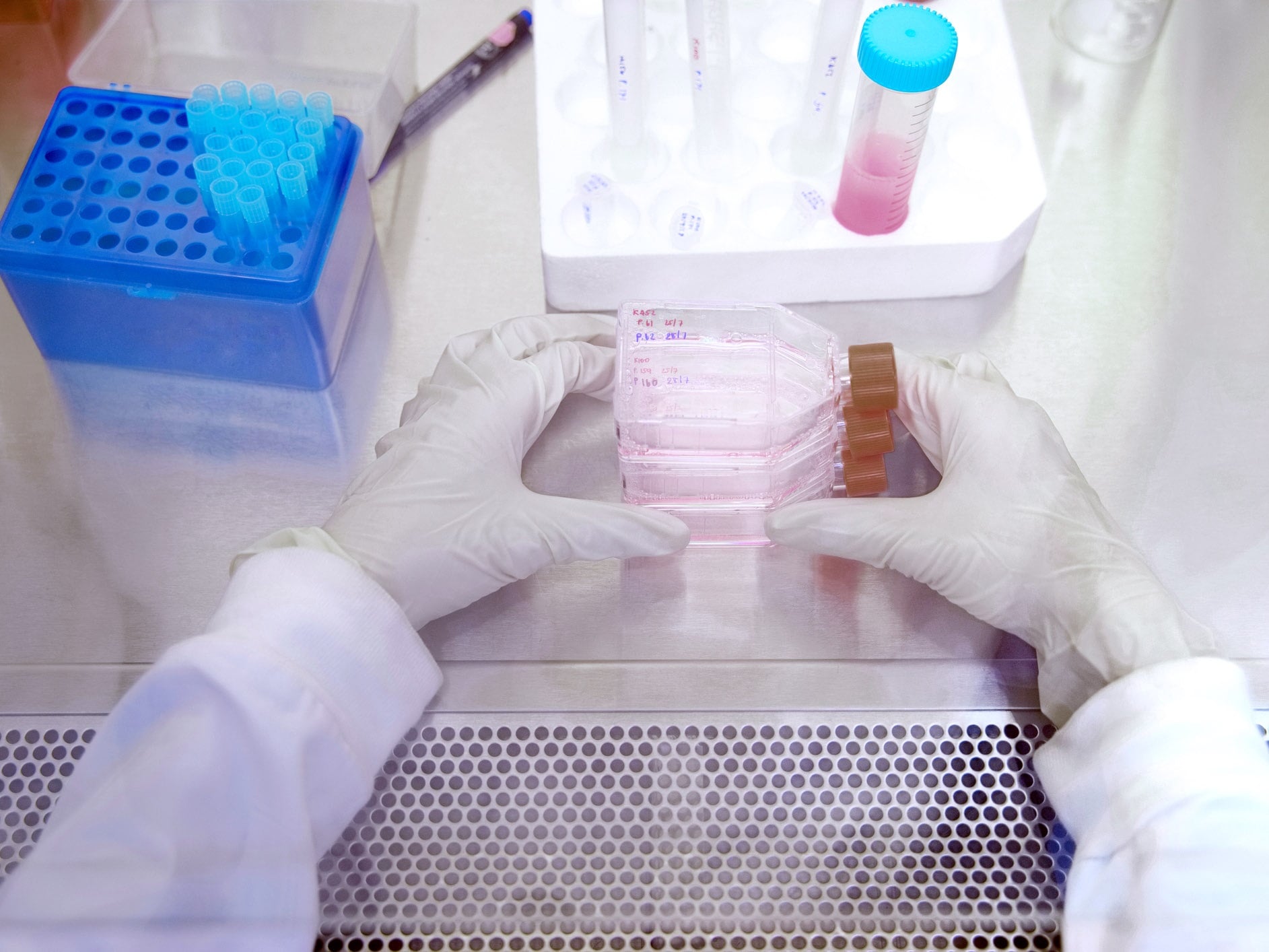  Key Considerations When Purchasing Your Biological Safety Cabinet