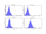Great Anti-Fc-PE Antibody for Flow