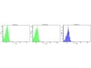 Good Anti-His-PE Antibody