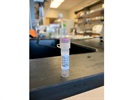 SNAI Antibody for Electro Mobility Shift Assay (EMSA) and Supershift EMSA