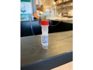 Good for Measuring LCK Expression