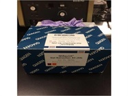 Reliable Gel Extraction Kit