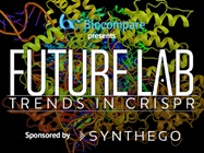 CRISPR 101: Your Guide to Understanding CRISPR