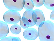 Expanding Live-Cell Imaging Applications in Drug Discovery