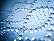 Using CRISPR for Target Identification