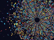 Improving and Optimizing Sequencing Workflows