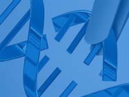 NGS in CRISPR Gene Editing