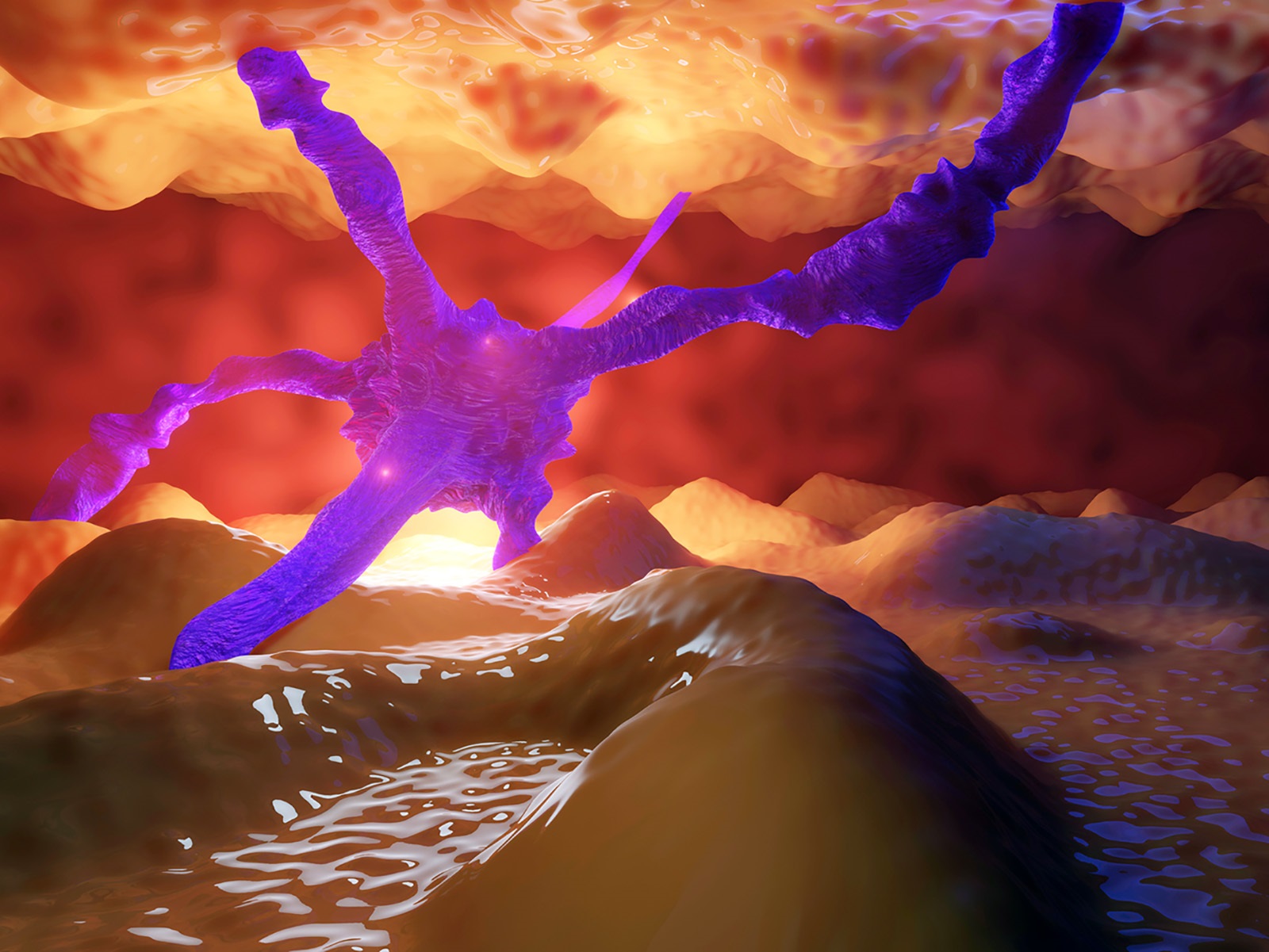  Reagents for Oncology Research