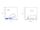 Great a-HLA*03:01 Antibody Gives Reliable Results