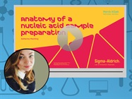 Tech Talk: Anatomy of a Nucleic Acid Sample Preparation