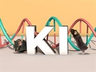 Generating Large Fragment Knock-In Mouse Models