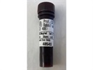 Great Phospho-S6 Ribosomal Antibody
