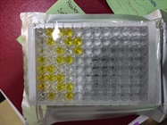 Bacitracin ELISA Kit Works Well