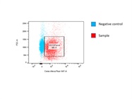 Reliable a-CD137 Antibody
